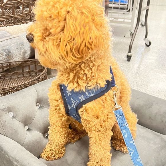 Stylish LV Doggie Harness Set - Picture 5 of 10